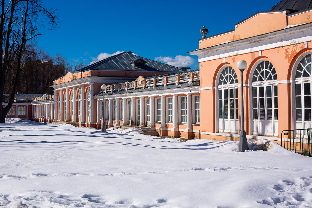 Оранжерея бывшей усадьбы Воронцово. Москва, Воронцовский парк. Фото автора статьи 
