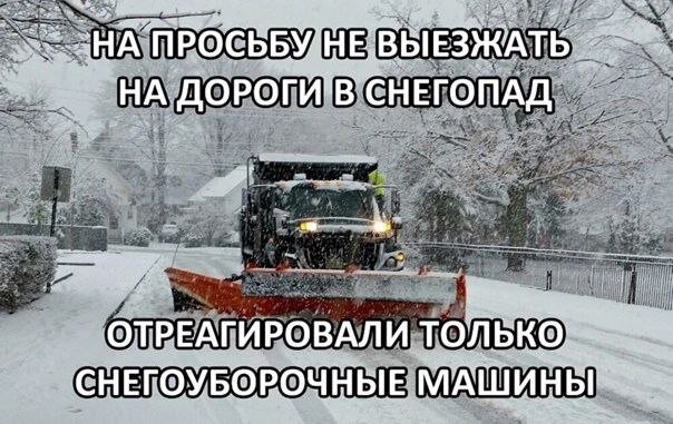 Эта осень со снегопадом надолго запомнится Екатеринбургу: сплошные жалобы в чатах новостных каналов