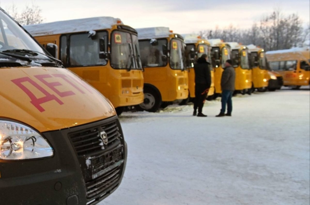    Муниципалитеты Заполярья получили 12 новых школьных автобусов