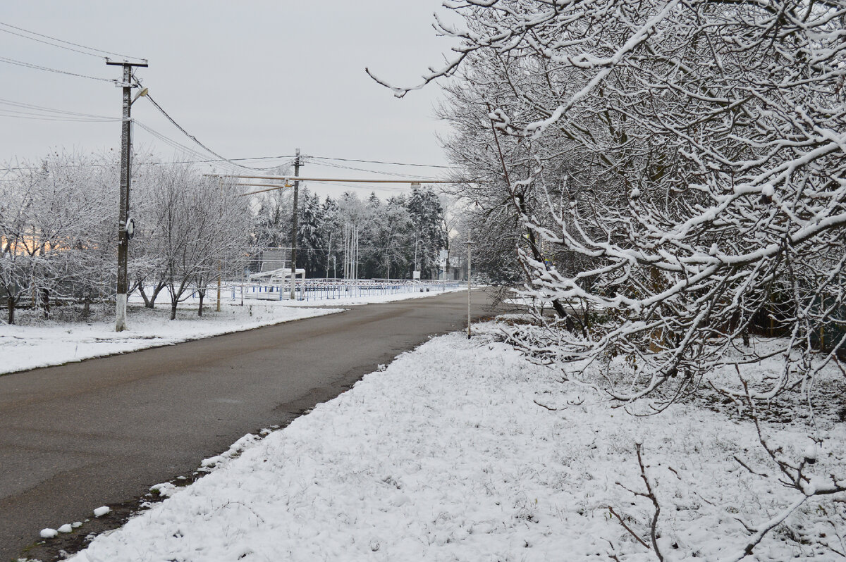 Фото автора. 05.12.2023. Станица. Зима однако! 