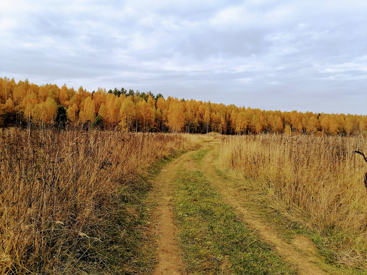 Осень, дорога