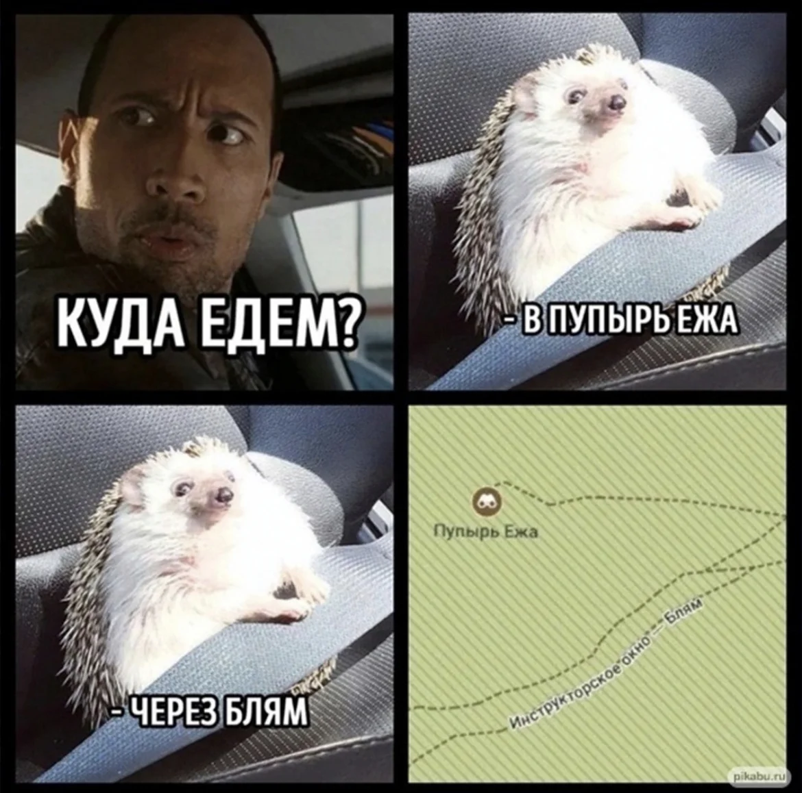Первый день на новой работе ежик