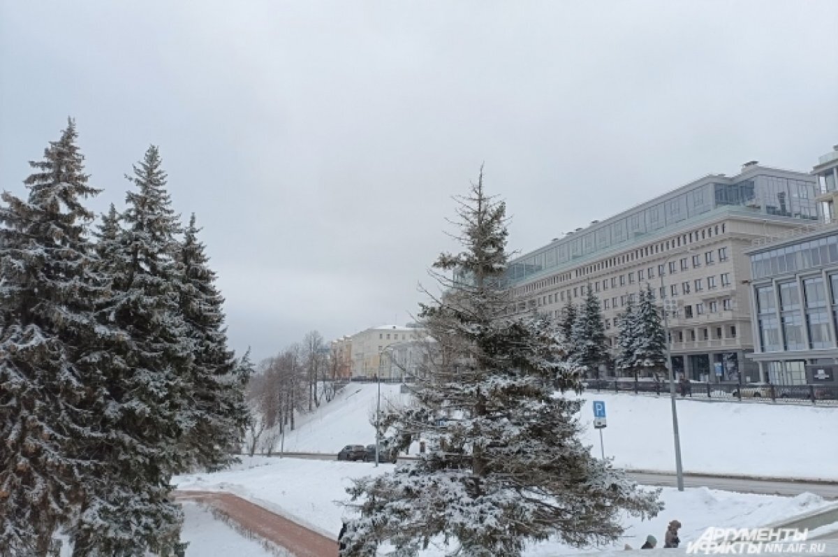    Элада Нагорная планирует продать земельные активы в Нижнем Новгороде