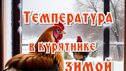 Оптимальная температура зимой в курятнике