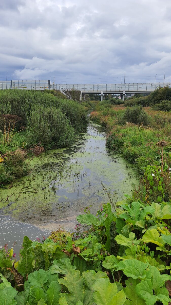 Река Копнинка на окраине Сергиев Посада
