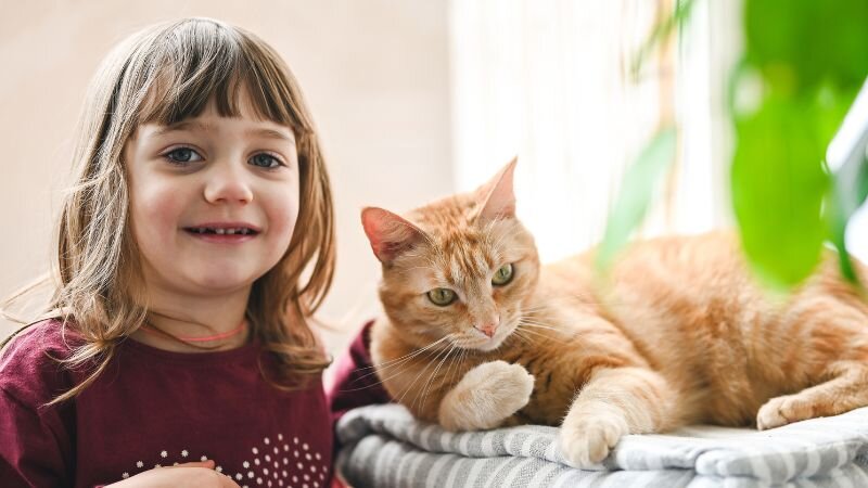 Источник: Canva.com