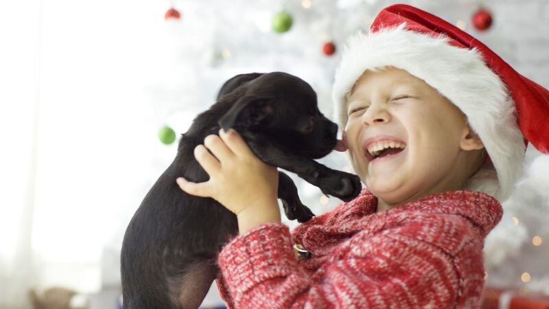 Источник: Canva.com