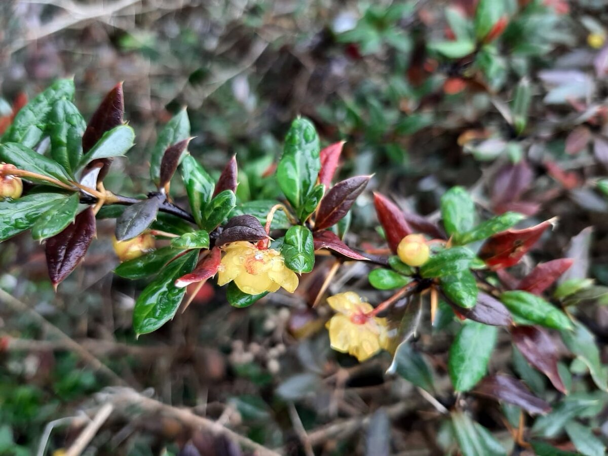 Фото Елены Погореловой