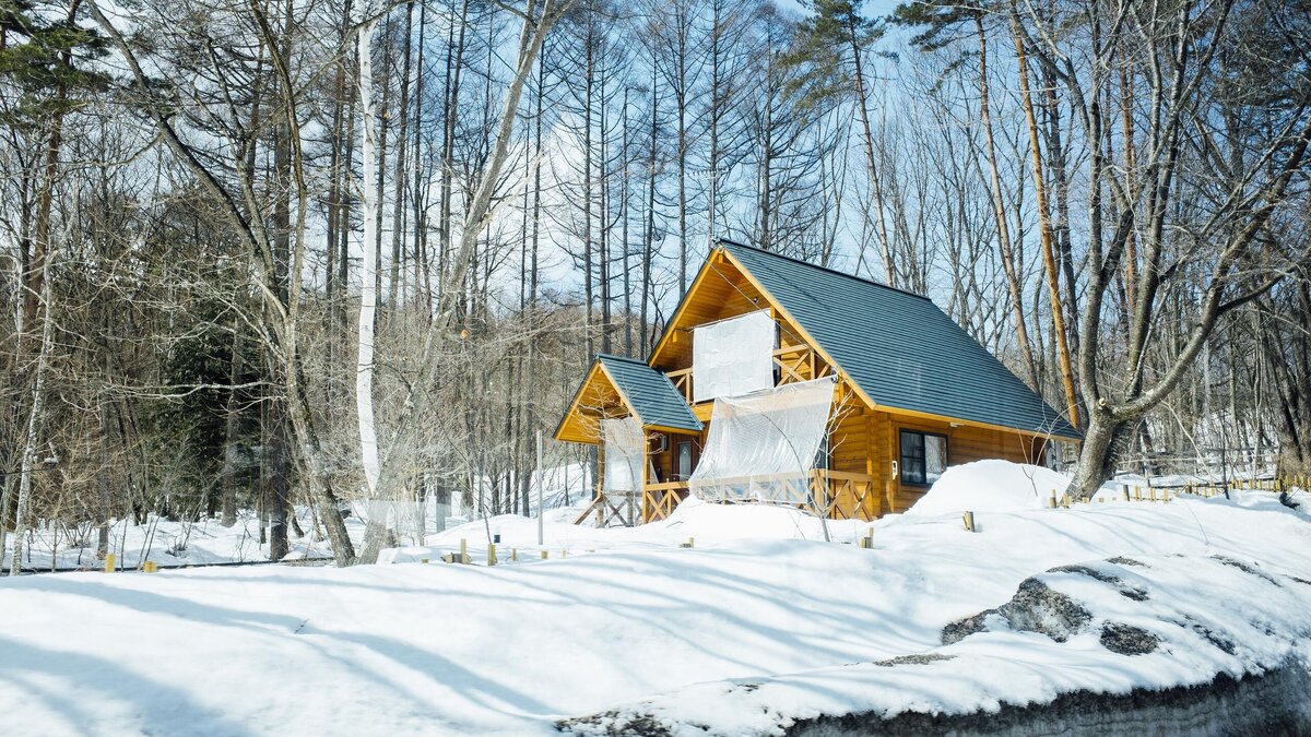    Не хотите увидеть пустошь вместо участка? Эксперт перечислила ряд необходимых работ для дачников© Freepik | jcomp