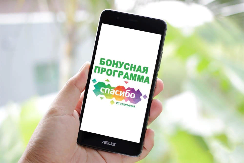 Фото из открытых источников.