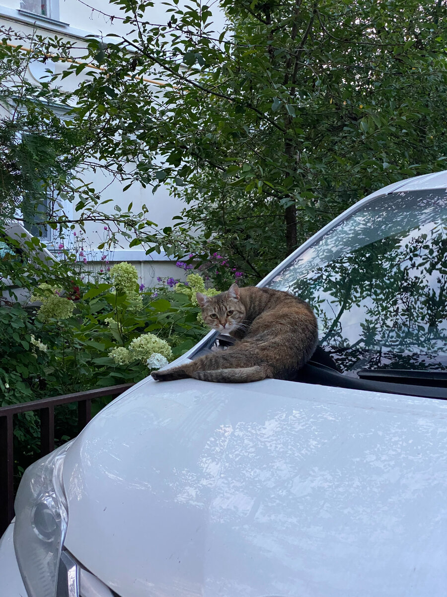 Фото автора канала. Курьяново.
