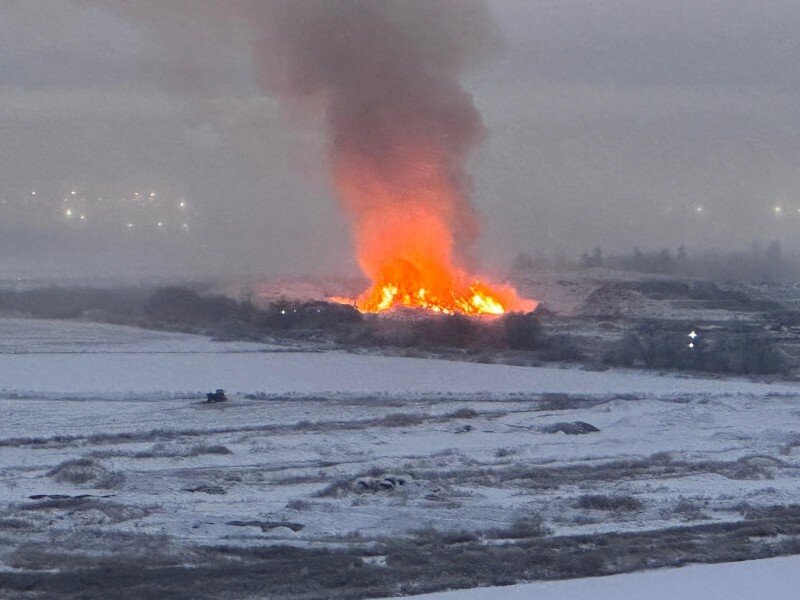 Фото: МЭОО «Зеленый фронт»