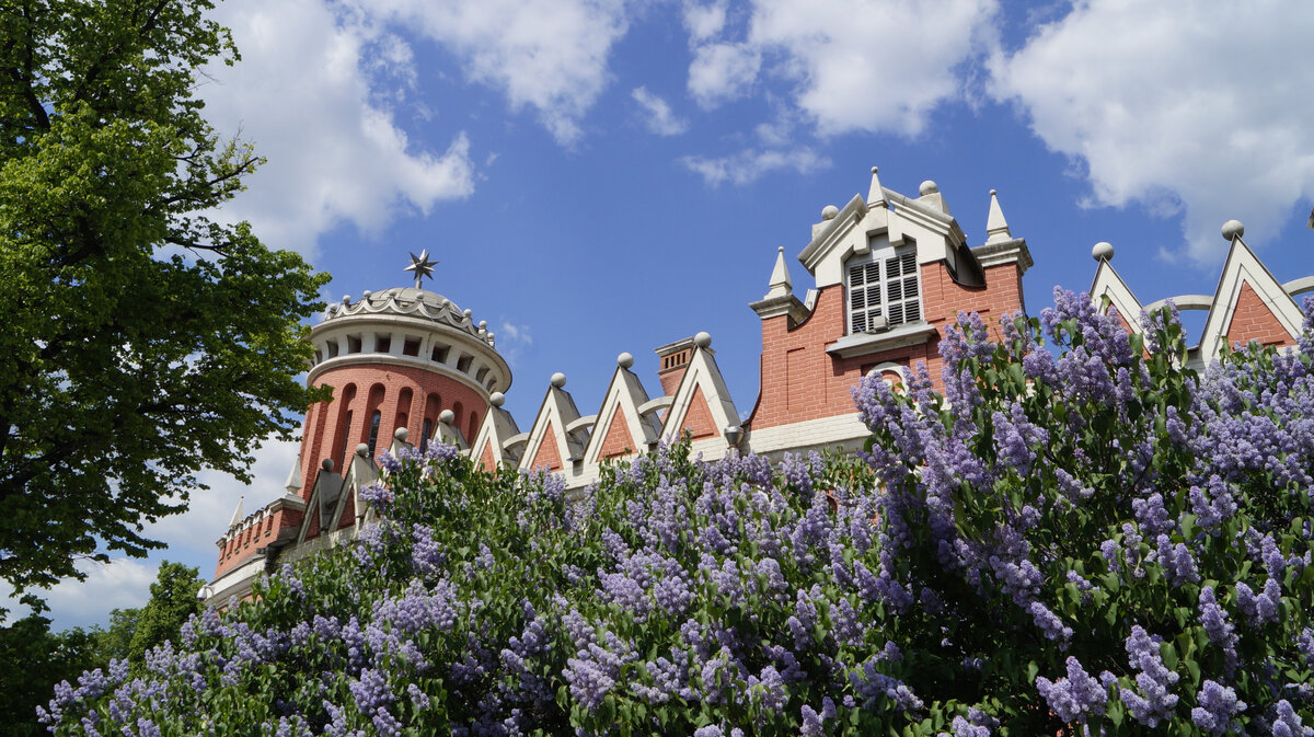 Дворец утопал в цветах сирени