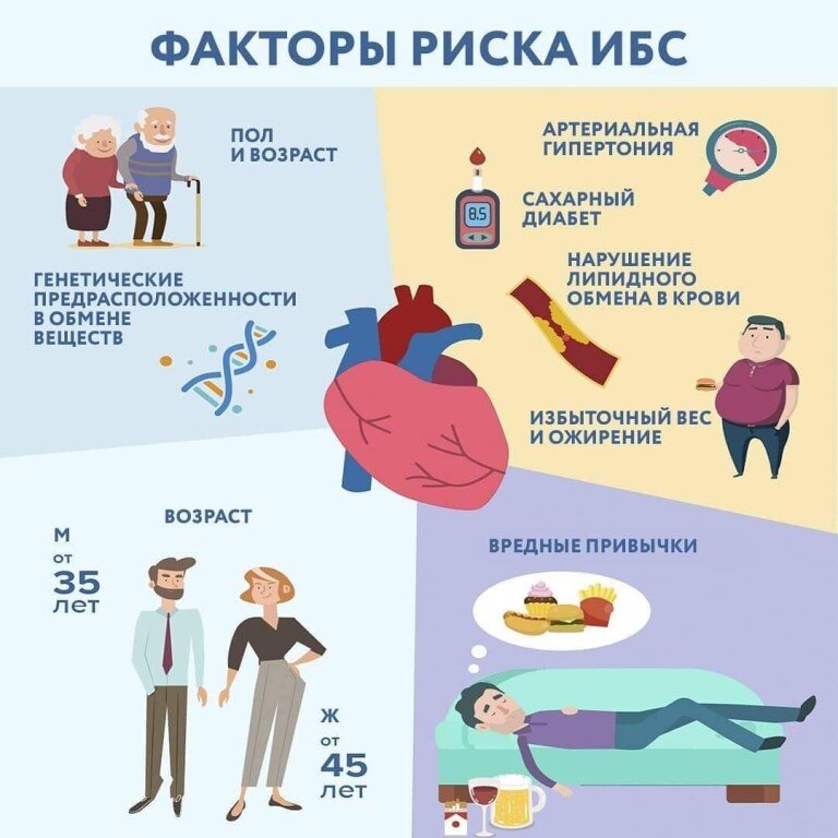 Факторы риска ишемической болезни сердца 