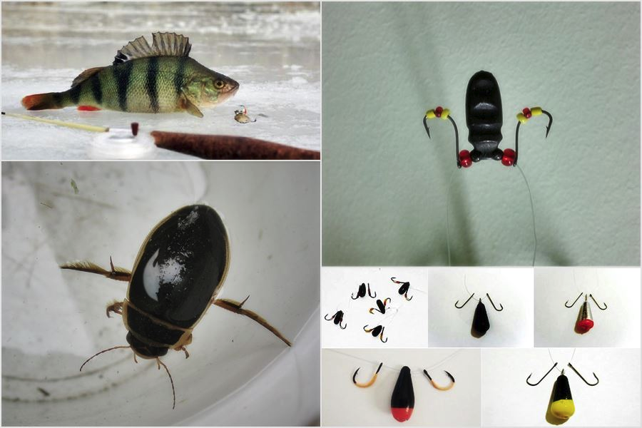 Фото с сайта: https://klev26.ru/wp-content