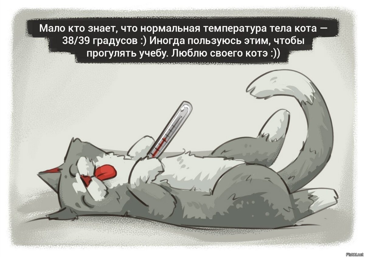 Прикольная картинка. Но прогуливать школу сейчас точно не стоит. Слишком много новых тем.