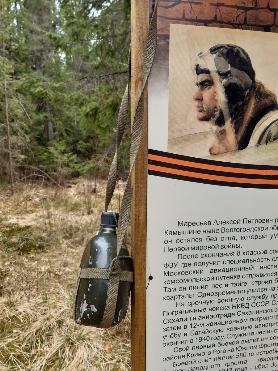 Алексей Маресьев. Где на самом деле сбили самого известного лётчика СССР,  героя книги Бориса Полевого «Повесть о настоящем человеке» | В поисках  заветных координат | Дзен