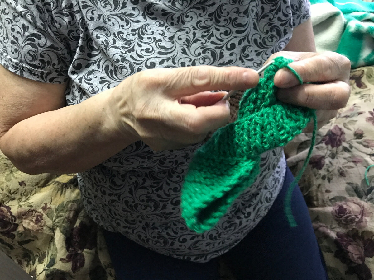 Шапка для чихуахуа 