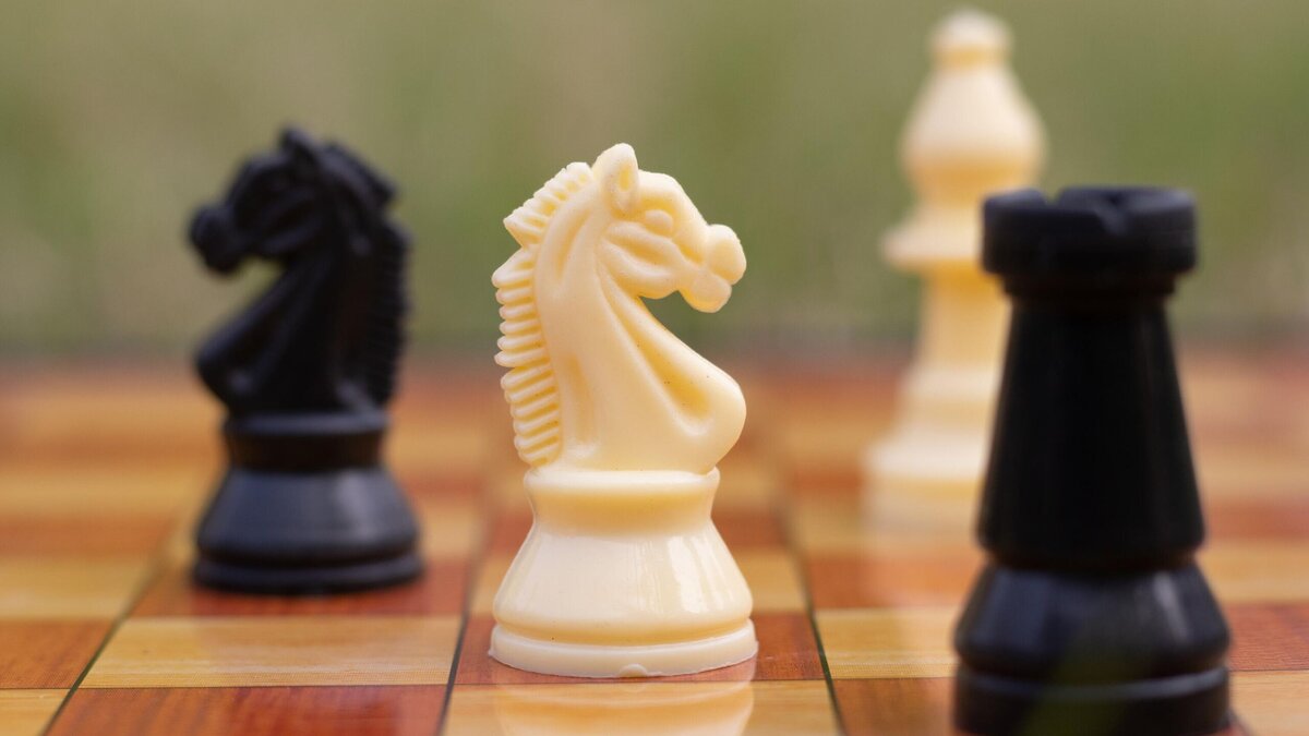    Не знаете в какую секцию отдать ребенка? Тренер перечислил неоспоримые преимущества шахматного клуба© Unsplash | VD Photography