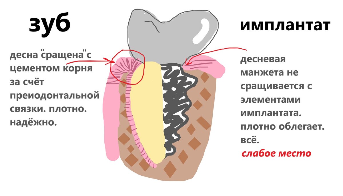 Рисовала сама, старалась. 