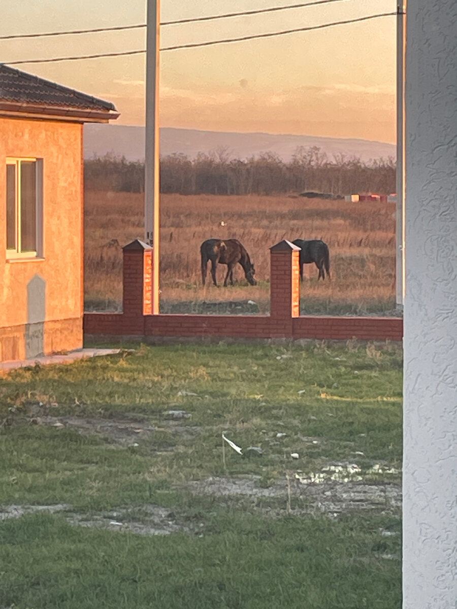 Фото автора, вид из окна 