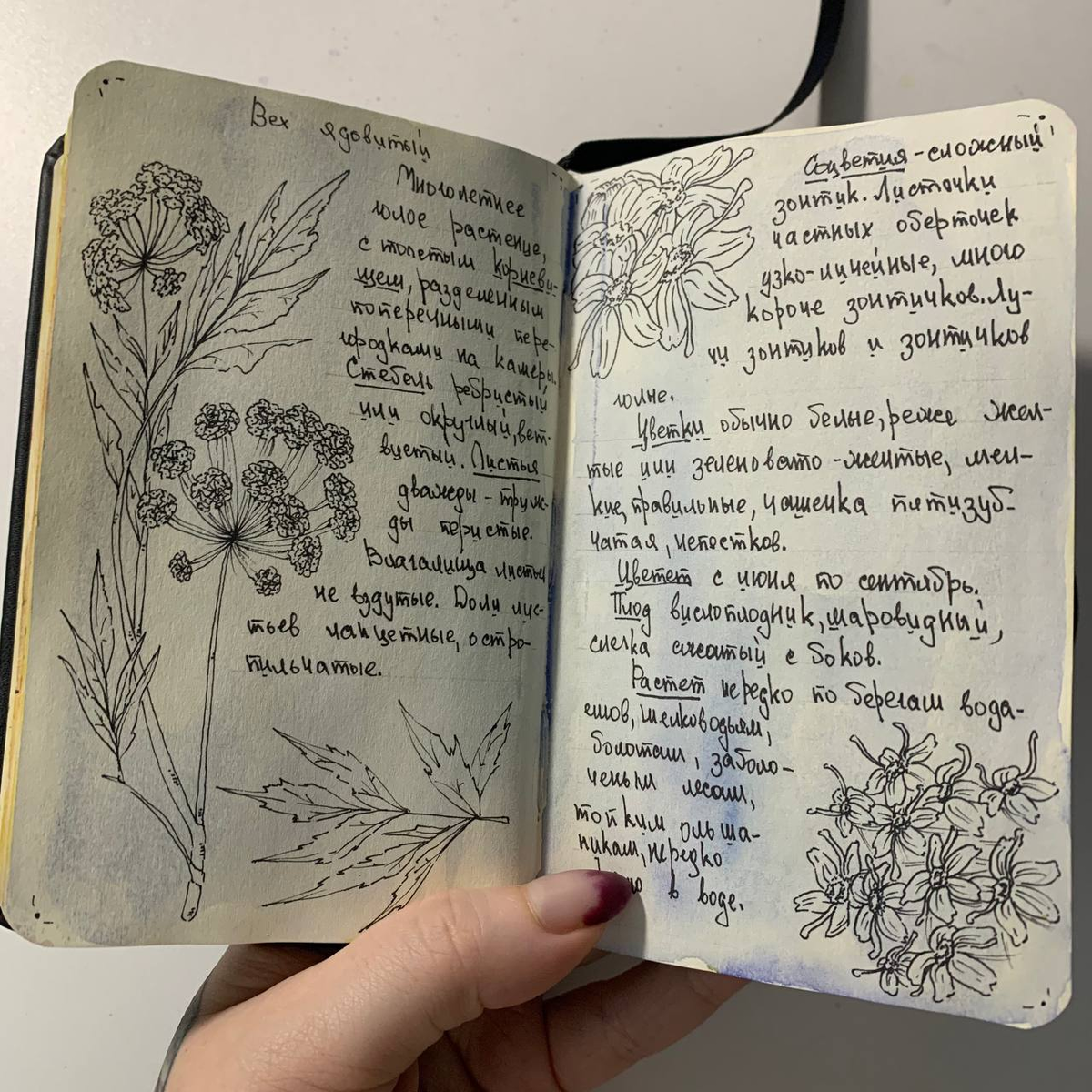 Разворот выполнен автором данного канала.