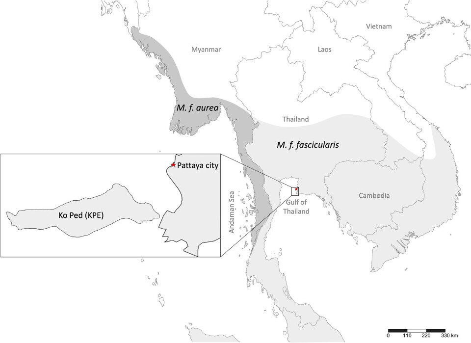   Raza Muhammad et al. / American Journal of Primatology, 2023