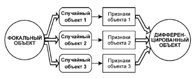 Случайное объект. Схема метода фокальных объектов. Фокальные объекты технология. Метод фокальных объектов примеры. Объект методом фокальных объектов.