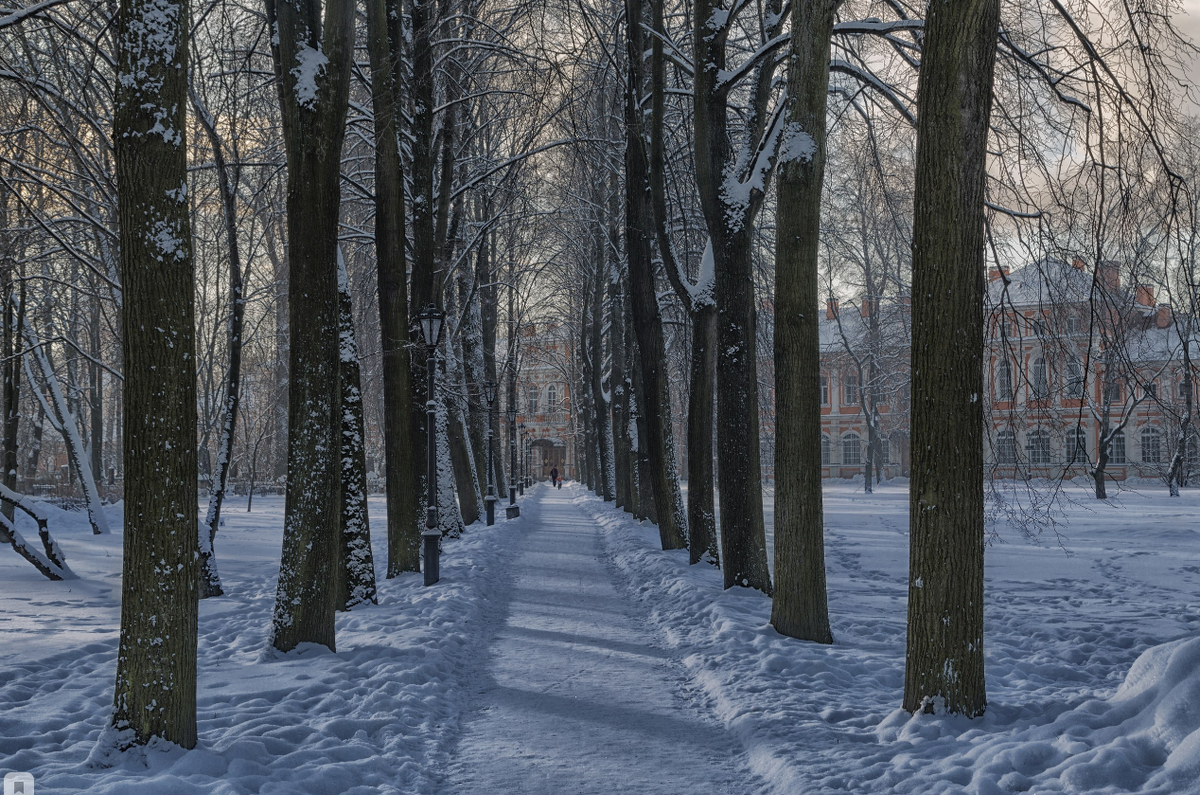 Фото Александра Дроздова