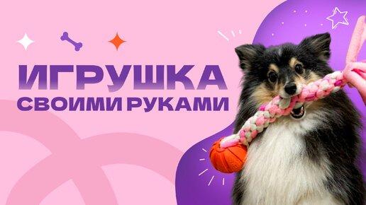 Лучшая игрушка для собаки своими руками