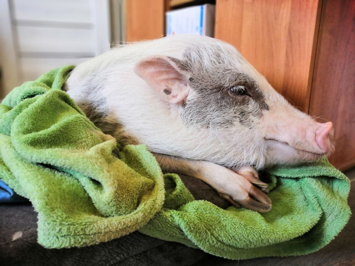 Дженифер Соломоновна отдыхать изволит