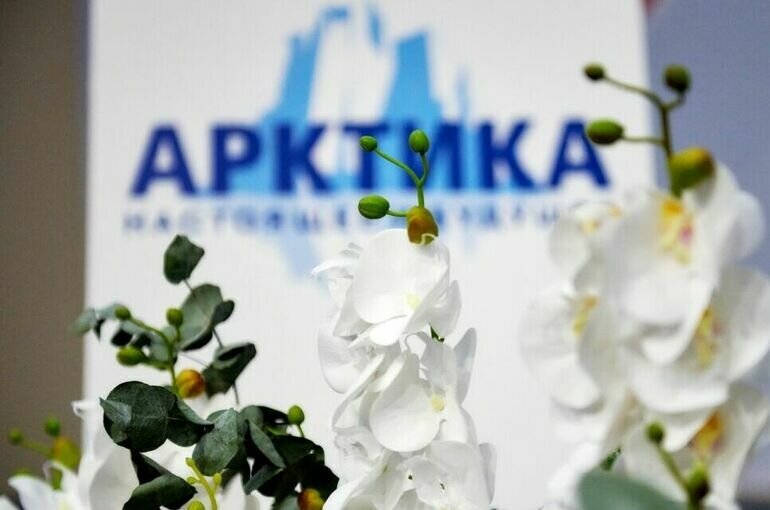   Алексей Даничев / РИА Новости