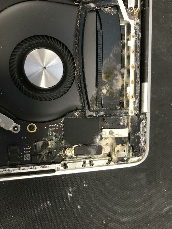 Источник: https://www.reddit.com/r/techsupportgore/comments/16ys54b/not_a_surprise_any_repair_tech_wants