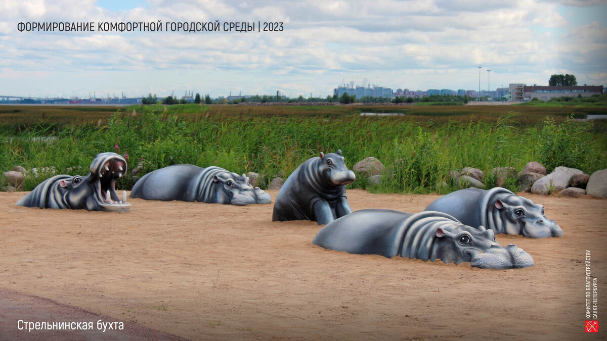 Обыкновенный бегемот. Морда бегемота. Новый парк с бегемотами стрельна. Бегемот фото. Бегемот плывет под водой.