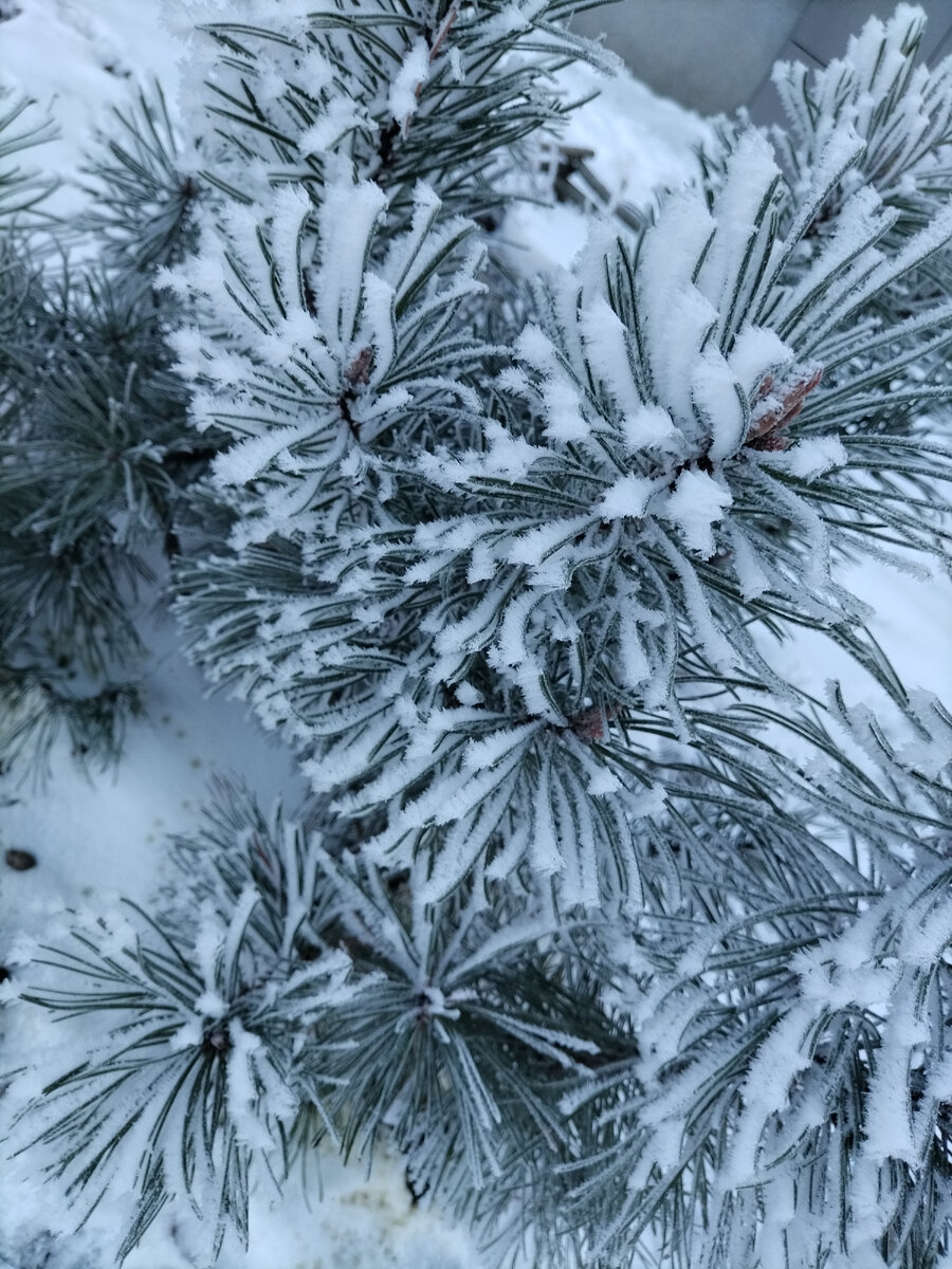 Вот такая у нас сегодня красота🤗