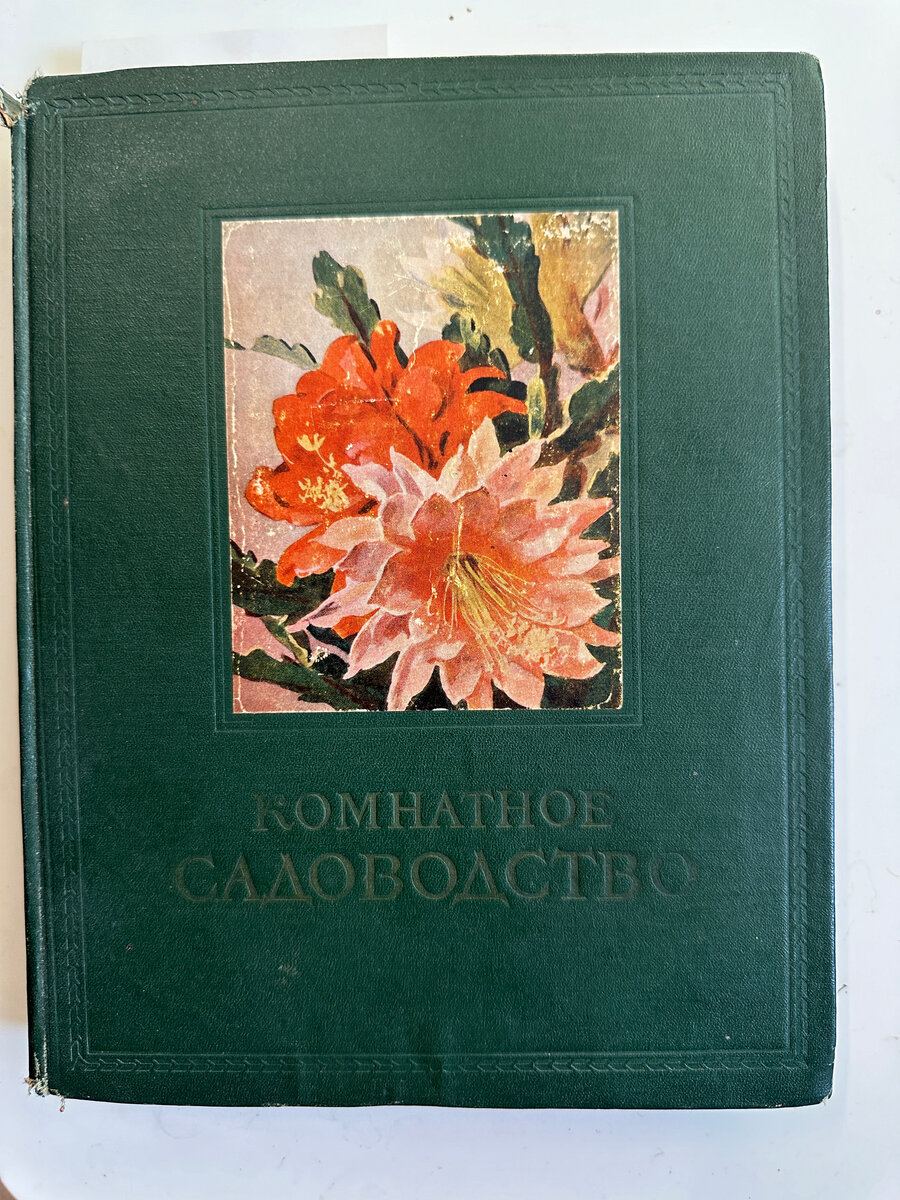 На моей книжной полке. Взгляд в прошлое с «Комнатным садоводством» (1956) |  Дмитрий Семенов | Дзен