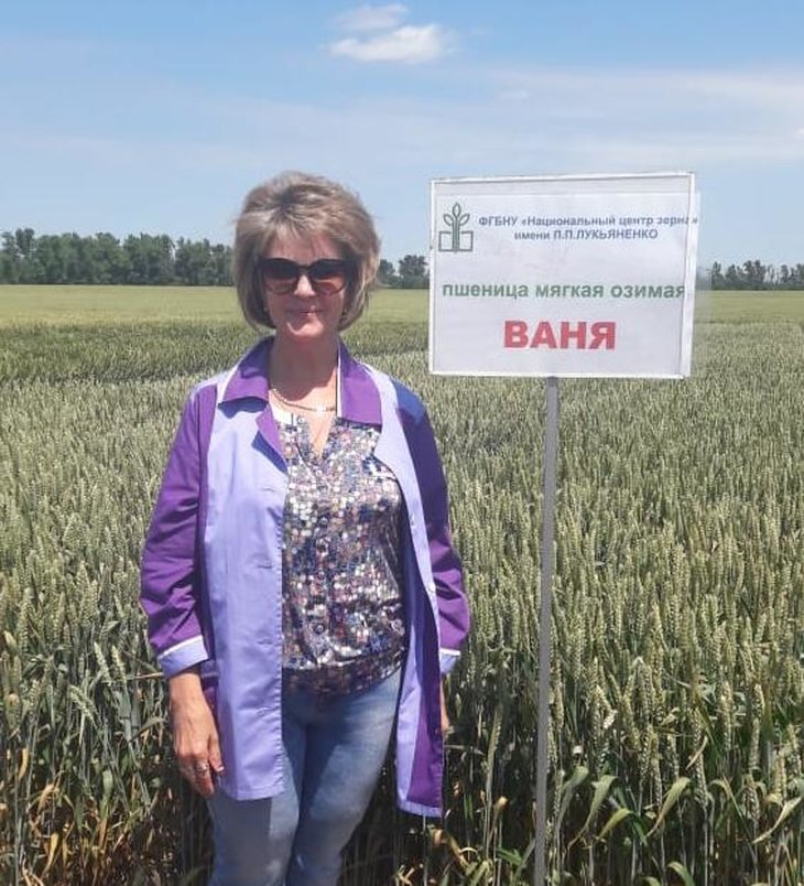     Что такое грамотная сортовая политика
