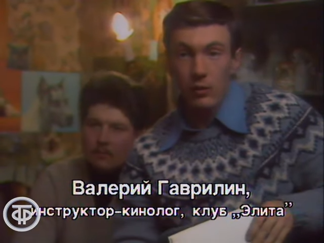 Кадр из фильма