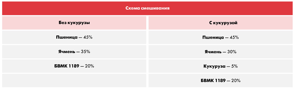 Откорм свиней на мясо может стать хлопотным процессом, учитывая потребность свиней в большом количестве питательных веществ.-2