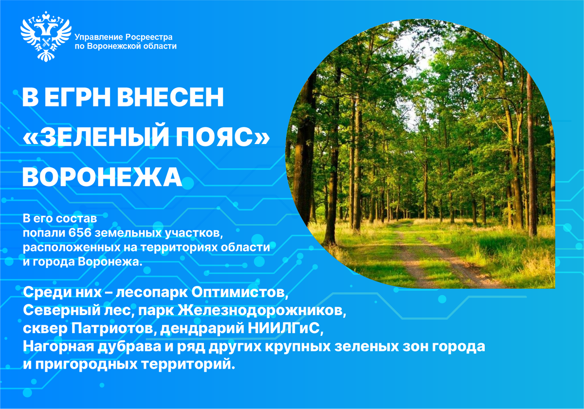 В ЕГРН ВНЕСЕН «ЗЕЛЕНЫЙ ПОЯС» ВОРОНЕЖА | Управление Росреестра Воронежская  область | Дзен