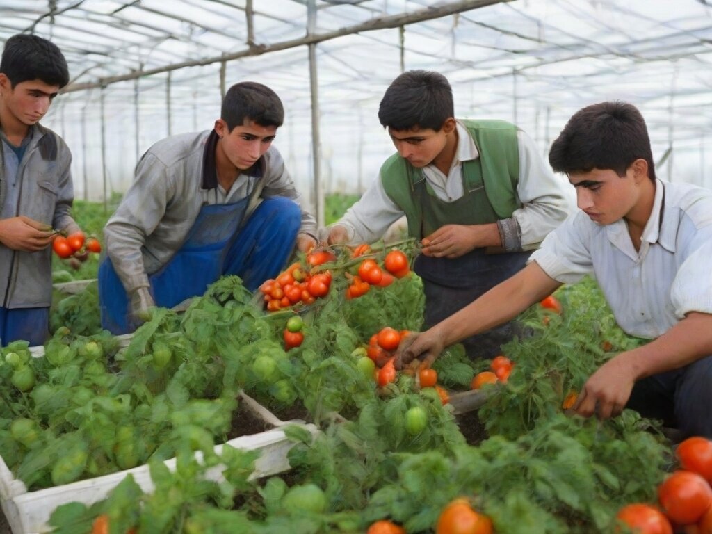 В России в сельскохозяйственных предприятиях острая потребность в рабочих