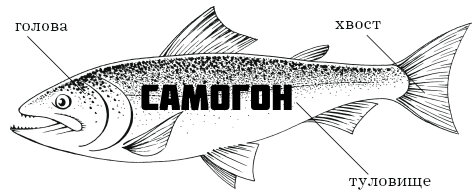Процесс дробной перегонки состоит из отбора голов, тела и хвостов самогона.