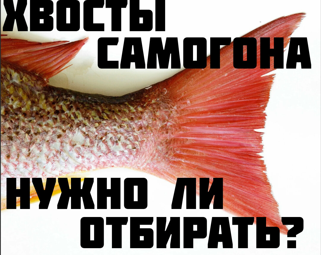 Хвосты самогона.