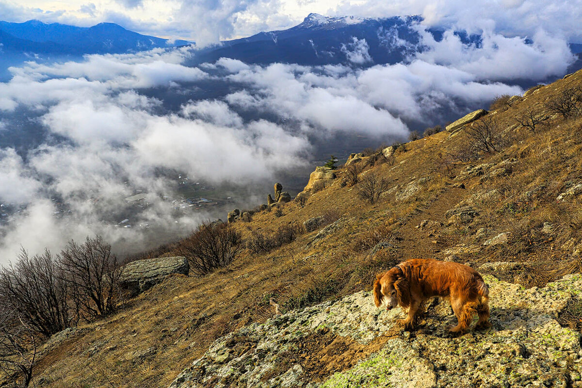 Собака туча. Алуштинская Долина. Гора собака в Крыму. Долина собака.