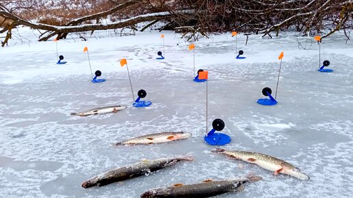 Опасный первый лёд. Рыбалка на жерлицы.