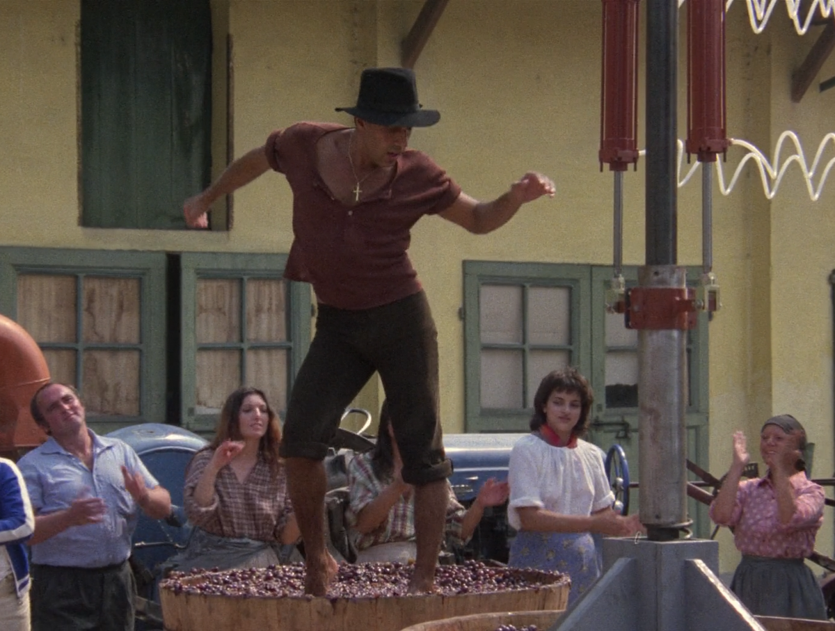 Фэнтези книга на просторах ирфрида. Адриано челентано укрощение строптивого. Танец строптивых. Адриано челентано танец. Адриано челентано укрощение строптивого.