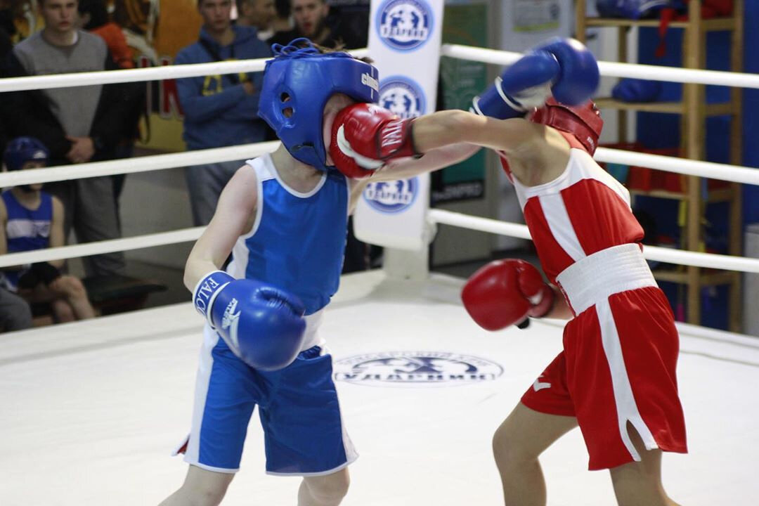 Boxing vi. Открытый ринг по боксу Москва. Бокс Заречный. Открытый ринг по боксу Солнечногорск Авангард. Бокс 6 лет.