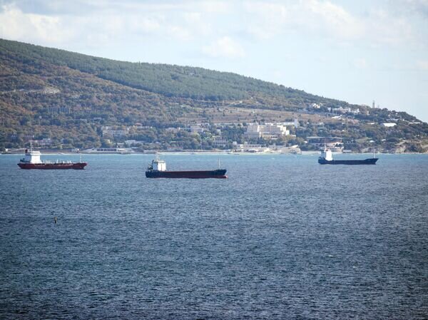    © РИА Новости Виталий Тимкив