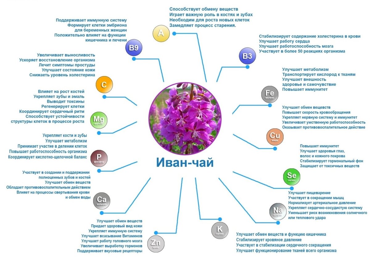 польза компьютерных игр для детей. вред от компьютера. работы и их польза. продукты полезные для мозга. работы и их польза.