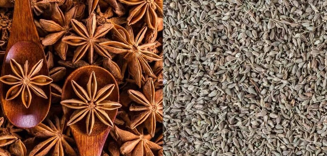 бадьян и анис